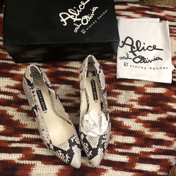 Interesting Info About Alice Olivia Shoes